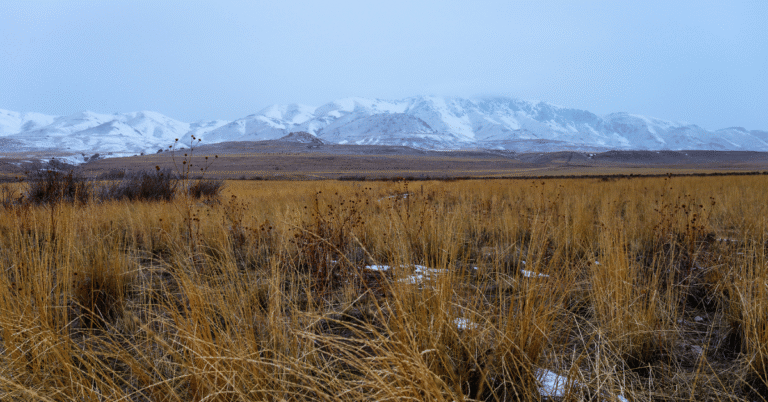 strands siberia