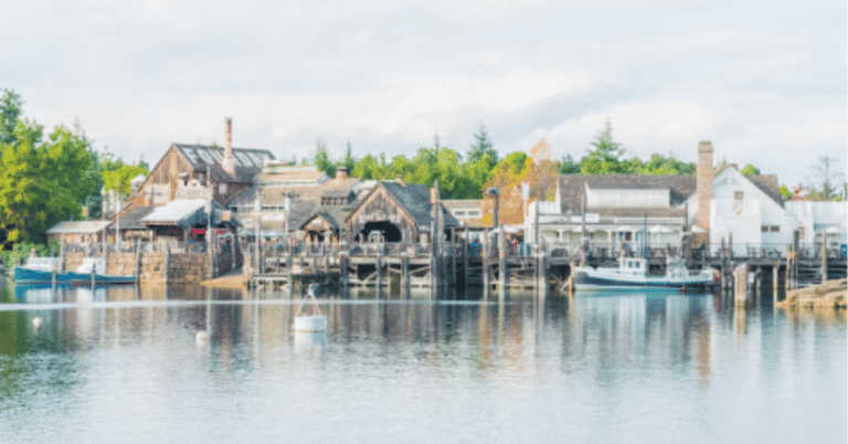 ocean park maine