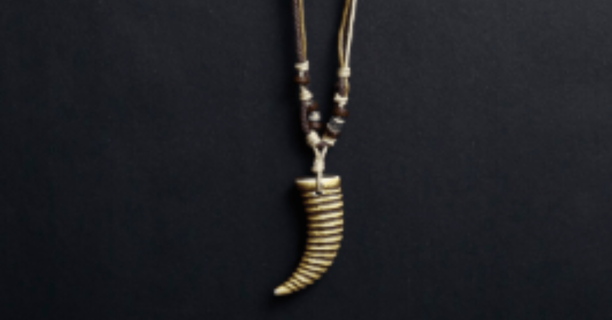 shark tooth necklace