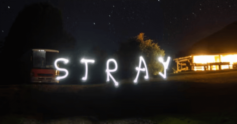 stray kids karma