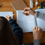 zealstudy lesson plan