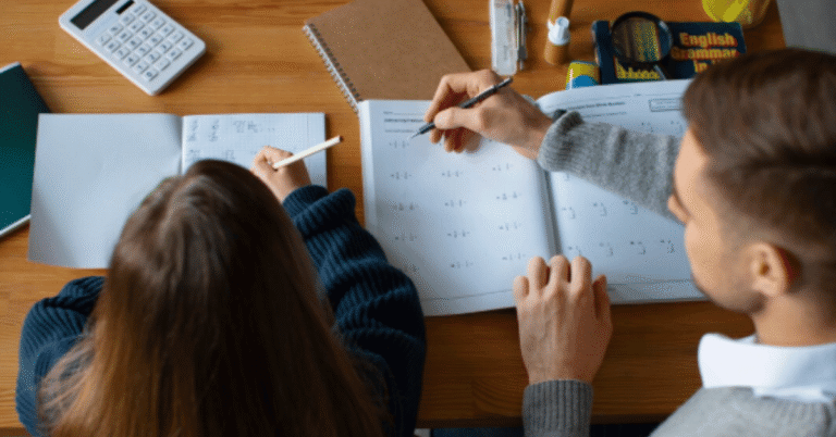 zealstudy lesson plan