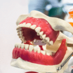 turkey teeth