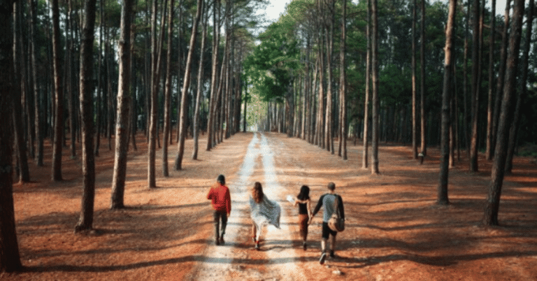 forest row