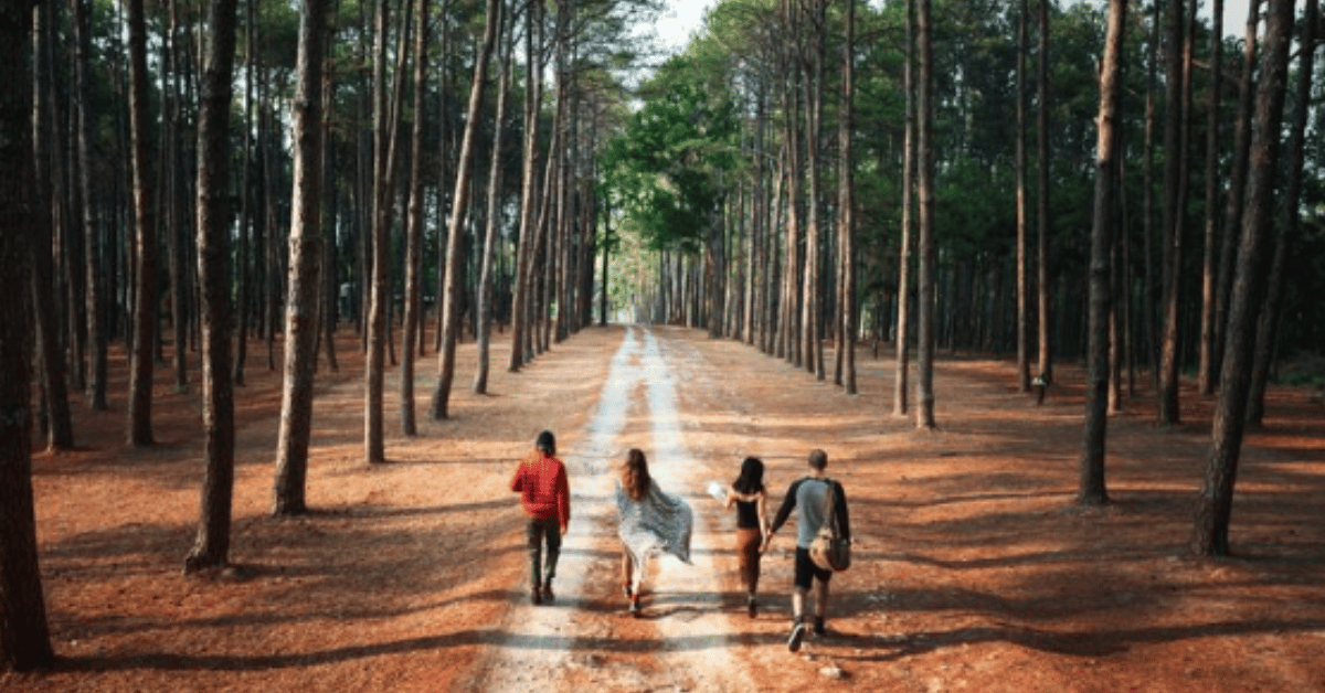 forest row